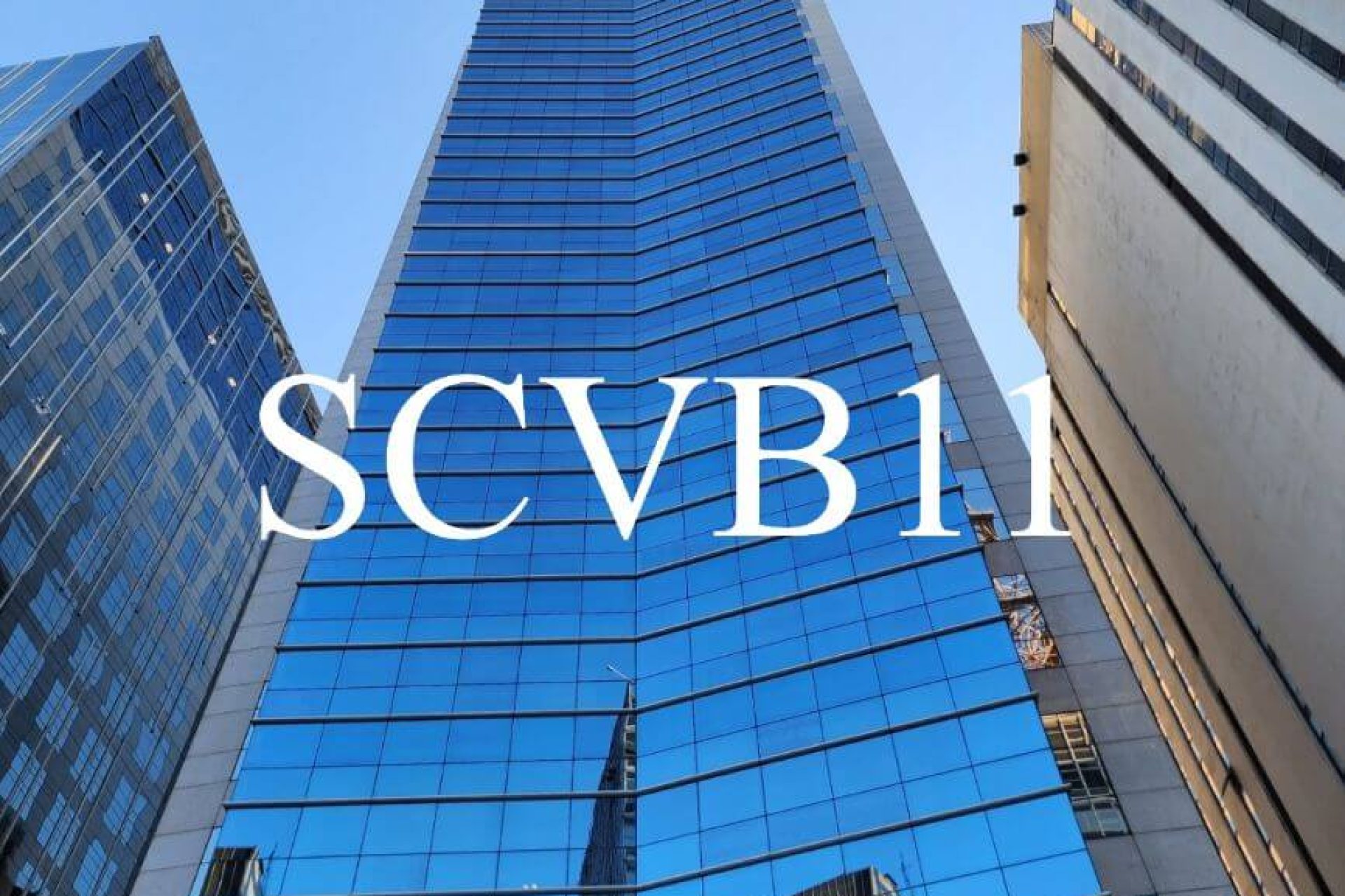 SCVB11